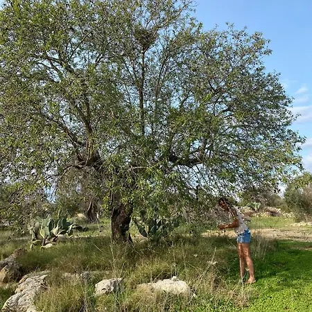 Villa Del Forno